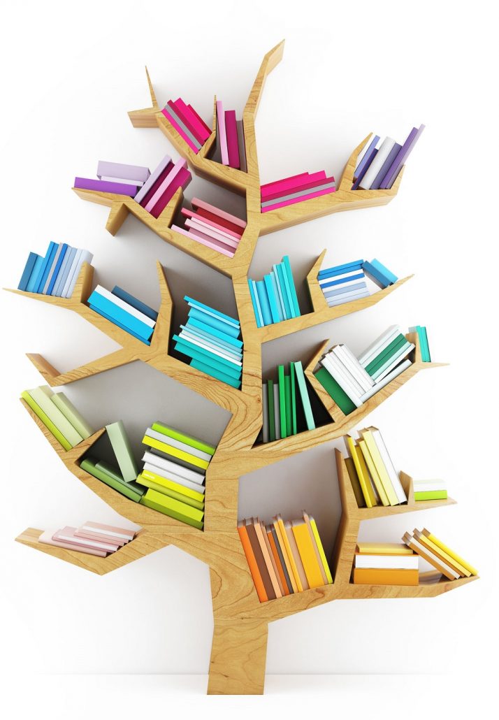 studieboom